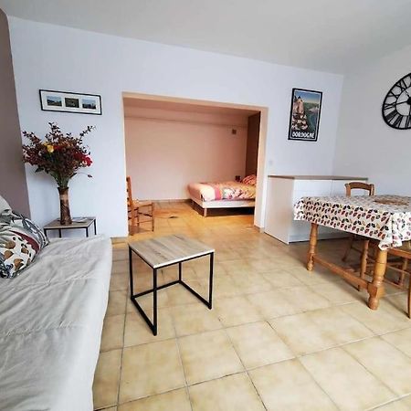 Studio Au Pied Du Chateau De Castelnaud Bagian luar foto